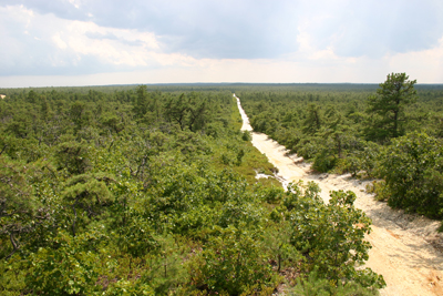 West Pine Plains